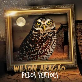 Album cover of Pelos Sertões