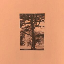 Album cover of Knitred