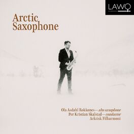 Album cover of Arctic Saxophone