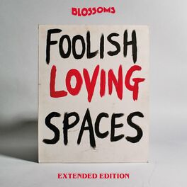 Album cover of Foolish Loving Spaces (Extended Edition)