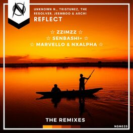 Album cover of Reflect (The Remixes)