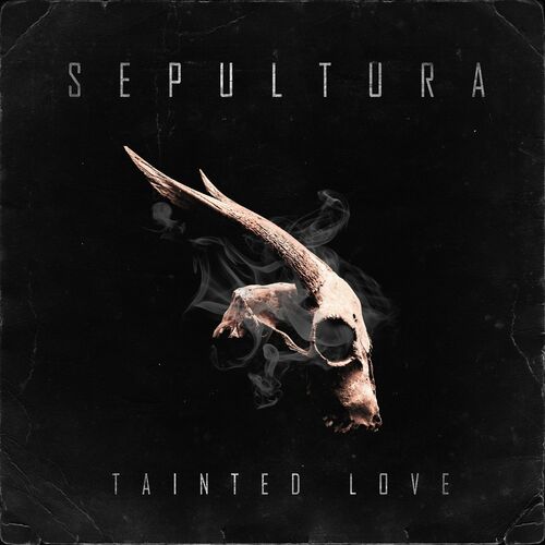 Tainted Love - Sepultura Download