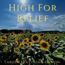 Album cover of High for Relief