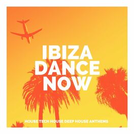 Album cover of Ibiza Dance Now