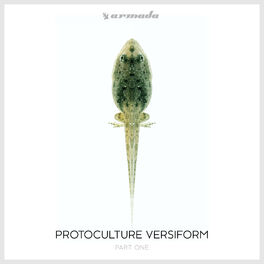 Album cover of Versiform (Part One)