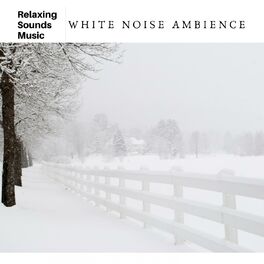 Album cover of White Noise Ambience
