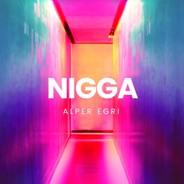 Album cover of Nıgga