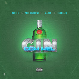 Album cover of Gin Com Mel