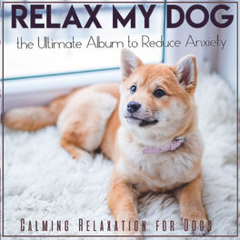 Album cover of Relax My Dog, the Ultimate Album to Reduce Anxiety - Calming Relaxation for Dogs