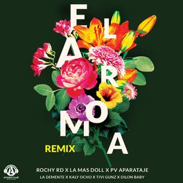 Album cover of El Aroma (Remix)