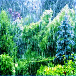Album cover of The Living Forest Rain (Loopable Soundscapes for Insomnia, Meditation, and Restless Children)