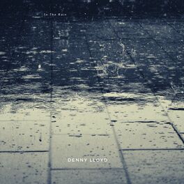 Album cover of In The Rain