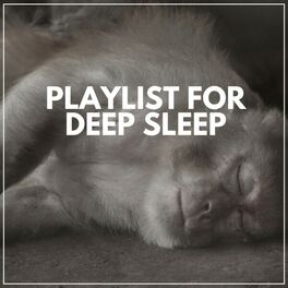 Album cover of Playlist for Deep Sleep