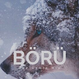 Album cover of BÖRÜ