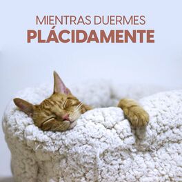 Album cover of Mientras duermes plácidamente