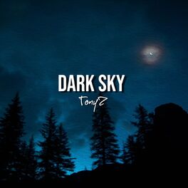 Album cover of Dark Sky