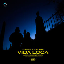 Album picture of Vida Loca