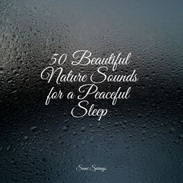 Album cover of 50 Beautiful Nature Sounds for a Peaceful Sleep