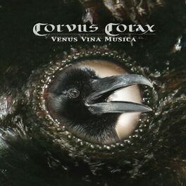 Album cover of Venus Vina Musica