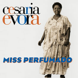 Album cover of Miss Perfumado