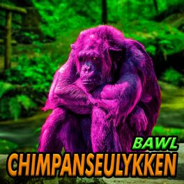 Album cover of Chimpanseulykken