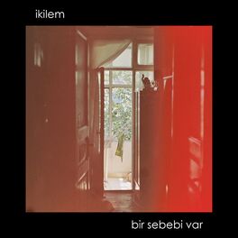 Album cover of Bir Sebebi Var