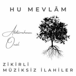 Album cover of Hu Mevlâm - Zikirli Müziksiz İlahiler