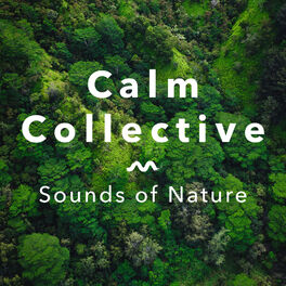 Album cover of Sounds Of Nature