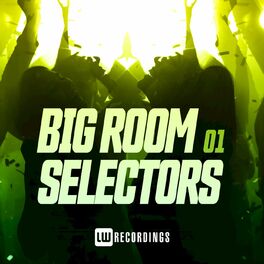 Album cover of Big Room Selectors, 01