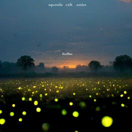 Album cover of fireflies