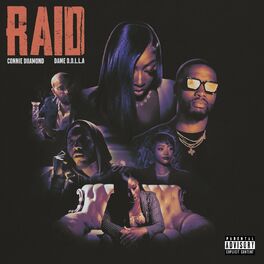 Album picture of Raid
