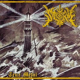 Album cover of True Metal