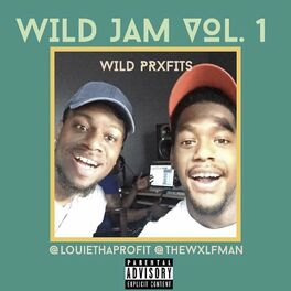 Album cover of Wild Jam, Vol.1