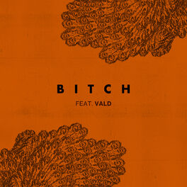 Album cover of Bitch (feat. Vald)
