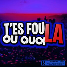 Album cover of T'es fou ou quoi la