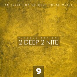 Album cover of 2 Deep 2 Nite, Vol. 9
