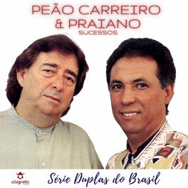 Album cover of Sucessos: Série Duplas do Brasil