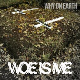 Album cover of Why On Earth