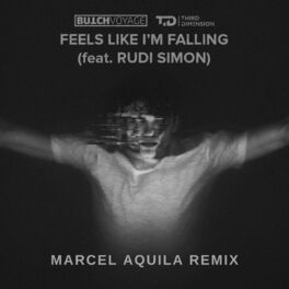 Album cover of Feels Like I'm Falling (Remix)