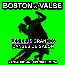 Album cover of Les plus grandes danses de salon: Boston et Valse
