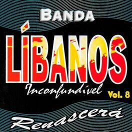 Album cover of Renascerá, Vol. 8 (Ao Vivo)