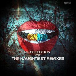 Album cover of 4th Selection Of The Naughtiest Remixes