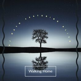 Album cover of Walking Home (Instrumental Version)