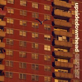 Album cover of lush