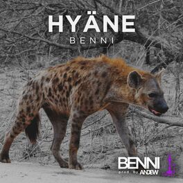 Album cover of Hyäne