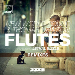 Album cover of Flutes (Remixes)