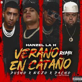 Album cover of Verano En Cataño (Remix)