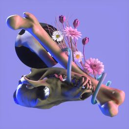 Album cover of Bone