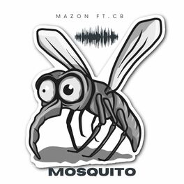 Album cover of Mosquito