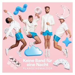 Album cover of Keine Band für eine Nacht